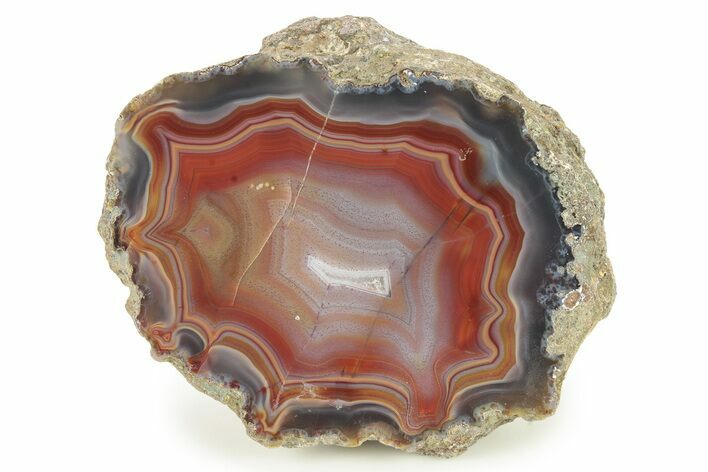 Colorful, Polished Condor Agate - Argentina #273671